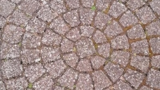 Belægningssten i cirkelmønster før fliserens med alger