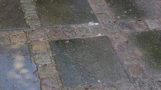 Terrassefliser før fliserens med alger og snavs