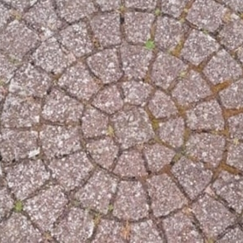 Belægningssten før fliserens med algebelægninger