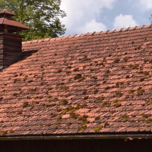 Tegltag med mos og alger før algebehandling