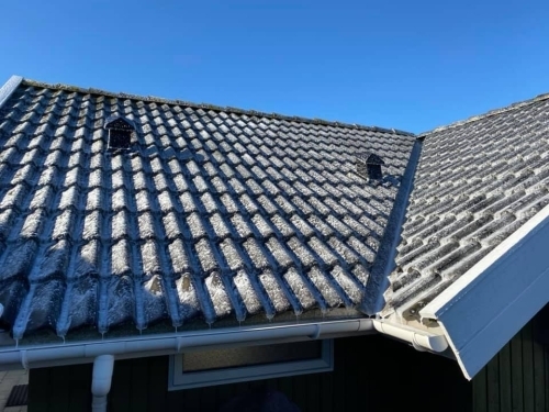 Tag med alger før algebehandling af tag