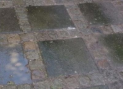 Terrassefliser før fliserens med alger og snavs